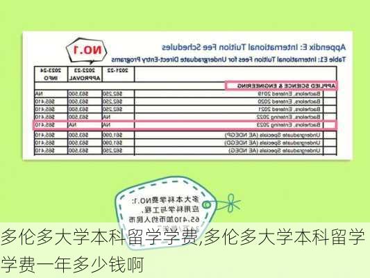 多伦多大学本科留学学费,多伦多大学本科留学学费一年多少钱啊