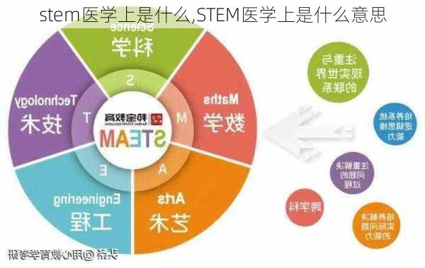 stem医学上是什么,STEM医学上是什么意思