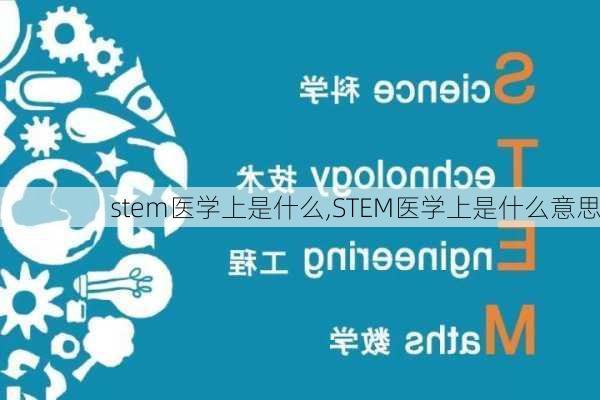 stem医学上是什么,STEM医学上是什么意思