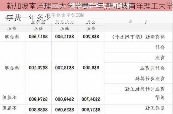 新加坡南洋理工大学学费一年,新加坡南洋理工大学学费一年多少