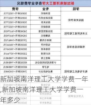 新加坡南洋理工大学学费一年,新加坡南洋理工大学学费一年多少