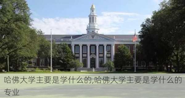 哈佛大学主要是学什么的,哈佛大学主要是学什么的专业