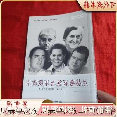 尼赫鲁家族,尼赫鲁家族与印度政治