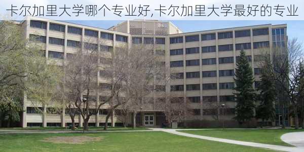 卡尔加里大学哪个专业好,卡尔加里大学最好的专业