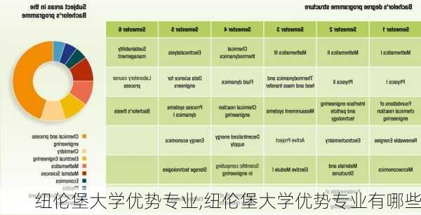 纽伦堡大学优势专业,纽伦堡大学优势专业有哪些