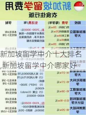 新加坡留学中介十大排名,新加坡留学中介哪家好