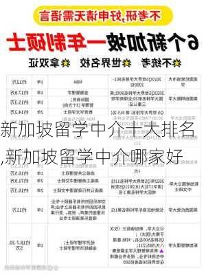 新加坡留学中介十大排名,新加坡留学中介哪家好