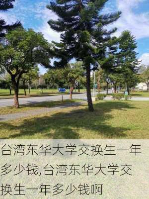 台湾东华大学交换生一年多少钱,台湾东华大学交换生一年多少钱啊