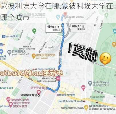 蒙彼利埃大学在哪,蒙彼利埃大学在哪个城市