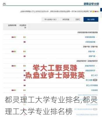 都灵理工大学专业排名,都灵理工大学专业排名榜