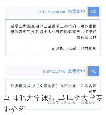 马耳他大学课程,马耳他大学专业介绍