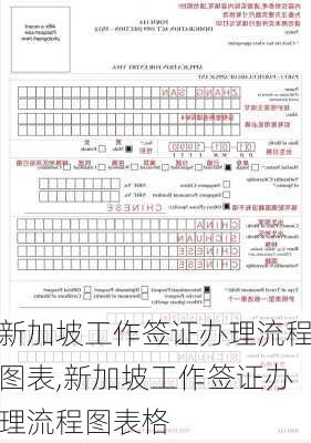 新加坡工作签证办理流程图表,新加坡工作签证办理流程图表格