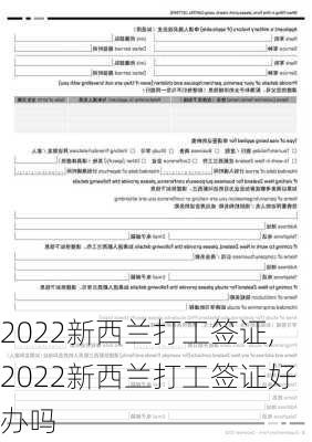 2022新西兰打工签证,2022新西兰打工签证好办吗