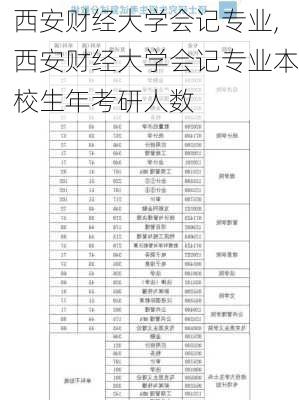 西安财经大学会记专业,西安财经大学会记专业本校生年考研人数