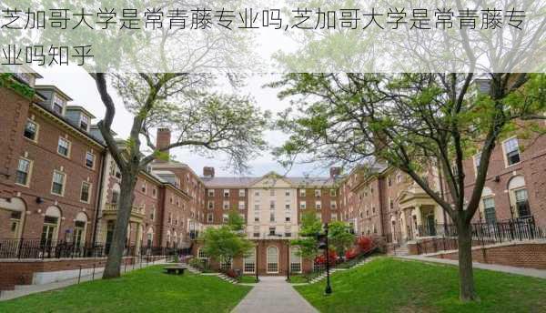 芝加哥大学是常青藤专业吗,芝加哥大学是常青藤专业吗知乎