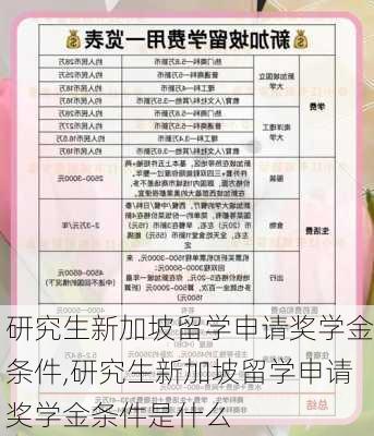 研究生新加坡留学申请奖学金条件,研究生新加坡留学申请奖学金条件是什么