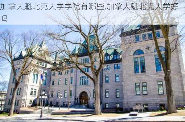 加拿大魁北克大学学院有哪些,加拿大魁北克大学好吗