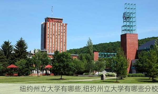 纽约州立大学有哪些,纽约州立大学有哪些分校