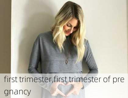 first trimester,first trimester of pregnancy