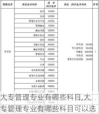 大专管理专业有哪些科目,大专管理专业有哪些科目可以选