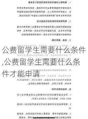 公费留学生需要什么条件,公费留学生需要什么条件才能申请