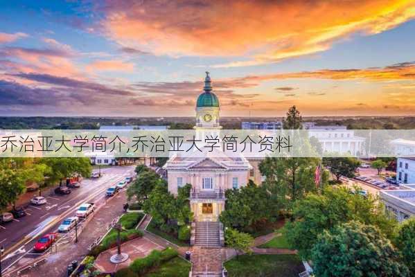 乔治亚大学简介,乔治亚大学简介资料