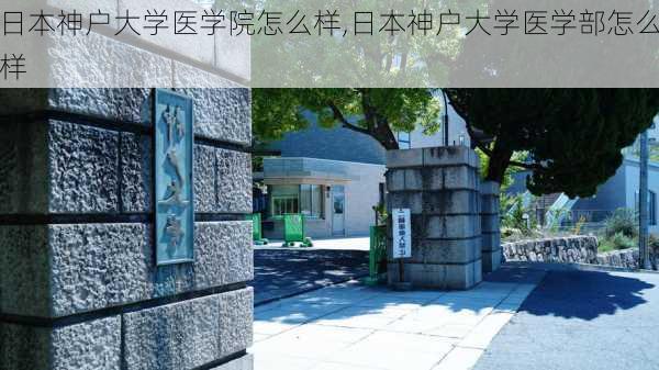 日本神户大学医学院怎么样,日本神户大学医学部怎么样