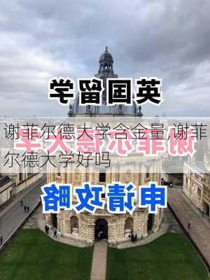 谢菲尔德大学含金量,谢菲尔德大学好吗