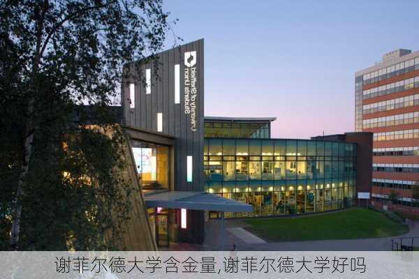 谢菲尔德大学含金量,谢菲尔德大学好吗