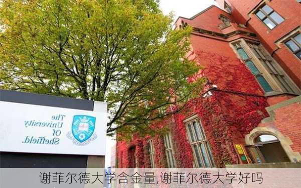 谢菲尔德大学含金量,谢菲尔德大学好吗