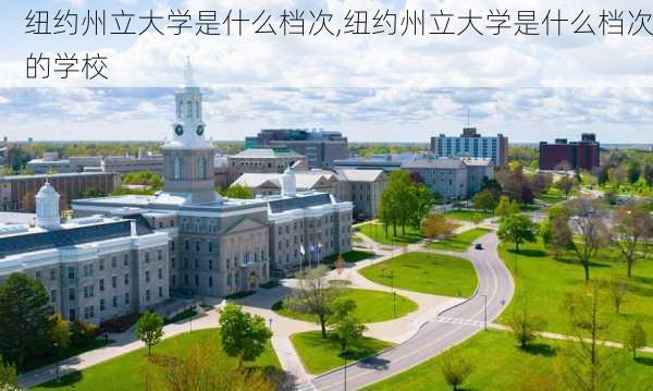 纽约州立大学是什么档次,纽约州立大学是什么档次的学校