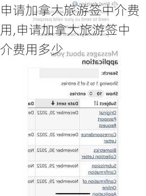 申请加拿大旅游签中介费用,申请加拿大旅游签中介费用多少