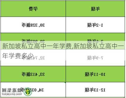 新加坡私立高中一年学费,新加坡私立高中一年学费多少