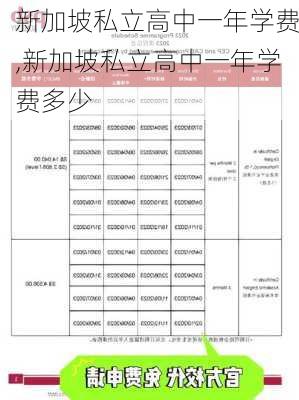 新加坡私立高中一年学费,新加坡私立高中一年学费多少