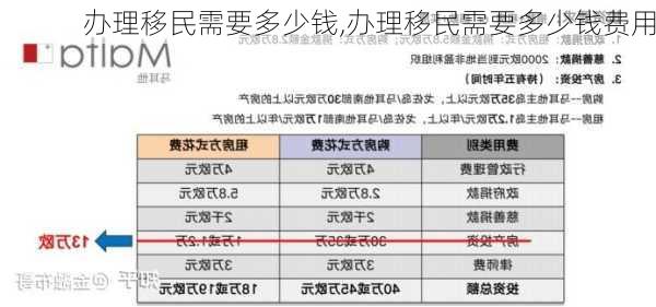 办理移民需要多少钱,办理移民需要多少钱费用