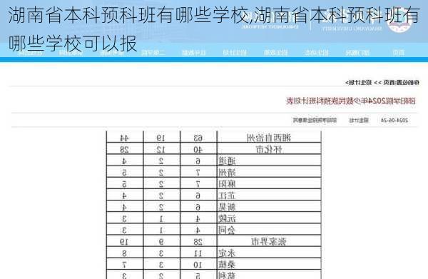 湖南省本科预科班有哪些学校,湖南省本科预科班有哪些学校可以报