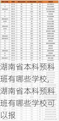 湖南省本科预科班有哪些学校,湖南省本科预科班有哪些学校可以报