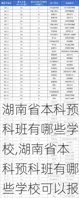 湖南省本科预科班有哪些学校,湖南省本科预科班有哪些学校可以报