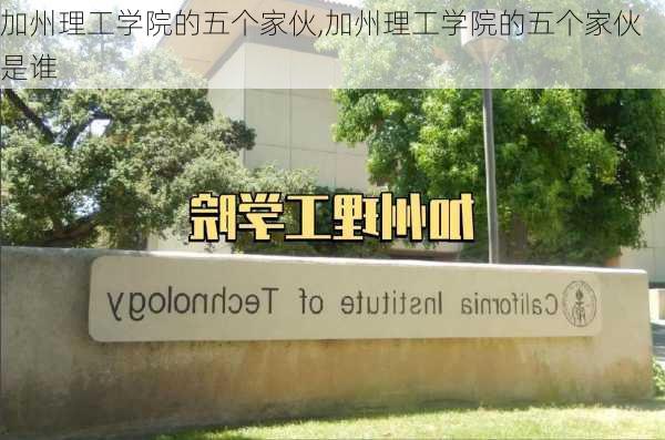 加州理工学院的五个家伙,加州理工学院的五个家伙是谁