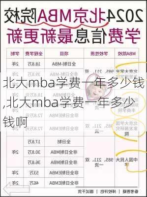 北大mba学费一年多少钱,北大mba学费一年多少钱啊