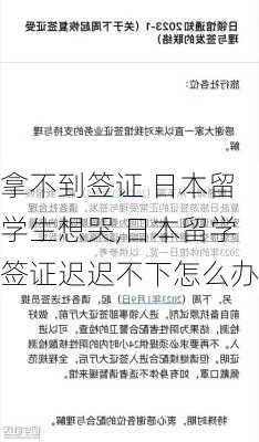 拿不到签证 日本留学生想哭,日本留学签证迟迟不下怎么办