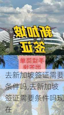 去新加坡签证需要条件吗,去新加坡签证需要条件吗现在