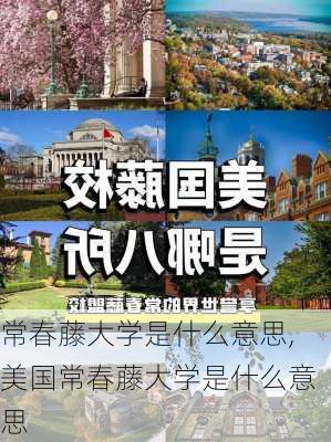 常春藤大学是什么意思,美国常春藤大学是什么意思