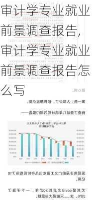 审计学专业就业前景调查报告,审计学专业就业前景调查报告怎么写