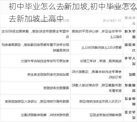 初中毕业怎么去新加坡,初中毕业怎么去新加坡上高中