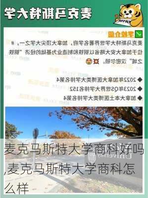 麦克马斯特大学商科好吗,麦克马斯特大学商科怎么样