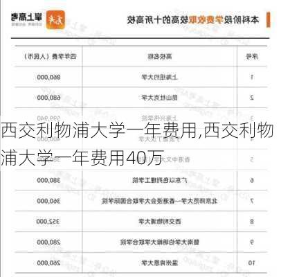 西交利物浦大学一年费用,西交利物浦大学一年费用40万