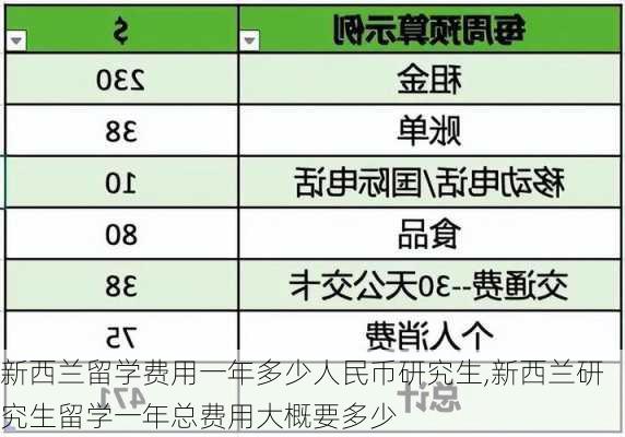 新西兰留学费用一年多少人民币研究生,新西兰研究生留学一年总费用大概要多少