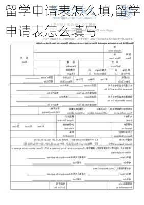 留学申请表怎么填,留学申请表怎么填写