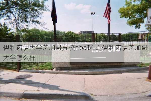 伊利诺伊大学芝加哥分校nba球员,伊利诺伊芝加哥大学怎么样